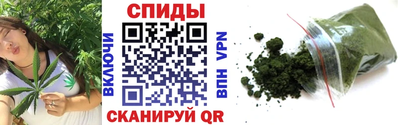 blacksprut ссылки  Кохма  Бутират бутандиол 