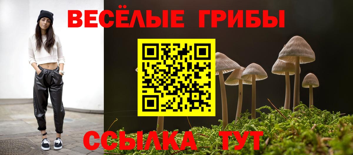 Псилоцибиновые грибы ЛСД Кохма